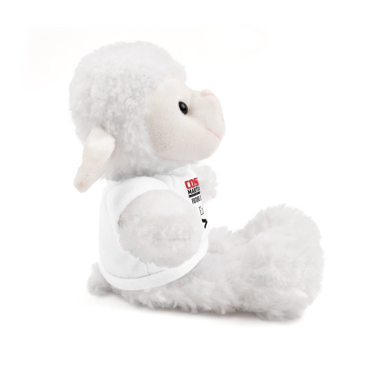 Personalized Cuddle Buddy for Your Little Martial Artist!