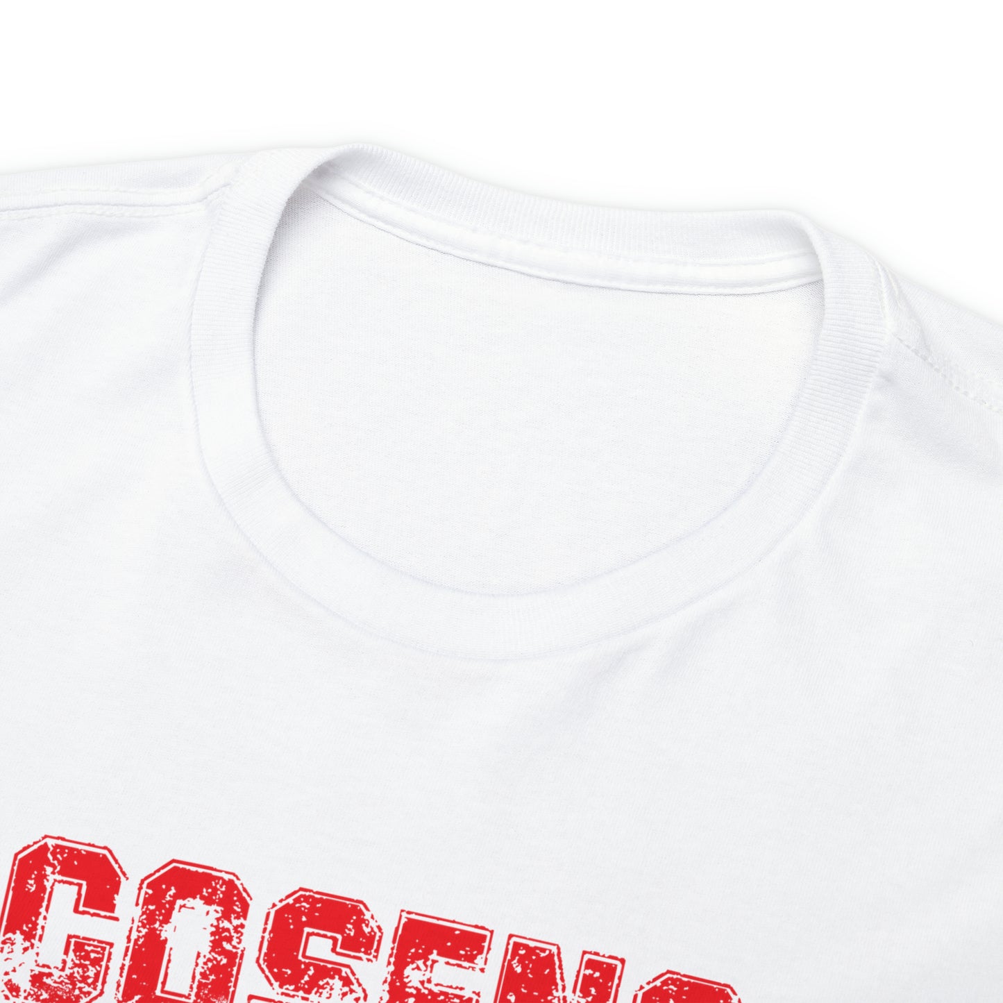 Legends Adult Cosens Martial Arts Unisex Heavy Cotton Tee