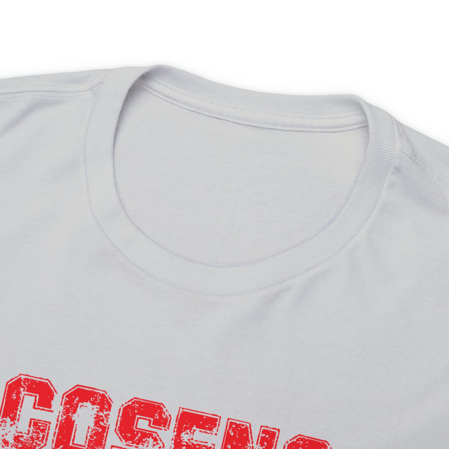 Legends Adult Cosens Martial Arts Unisex Heavy Cotton Tee
