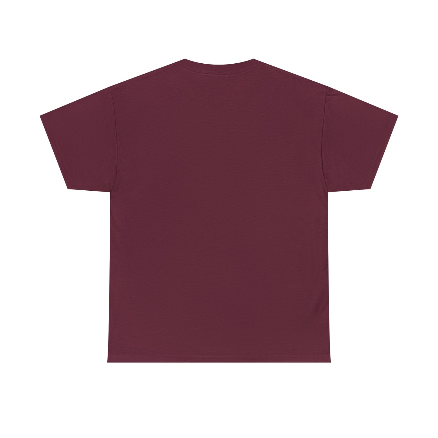 Little Ninjas Adult Unisex Heavy Cotton Tee