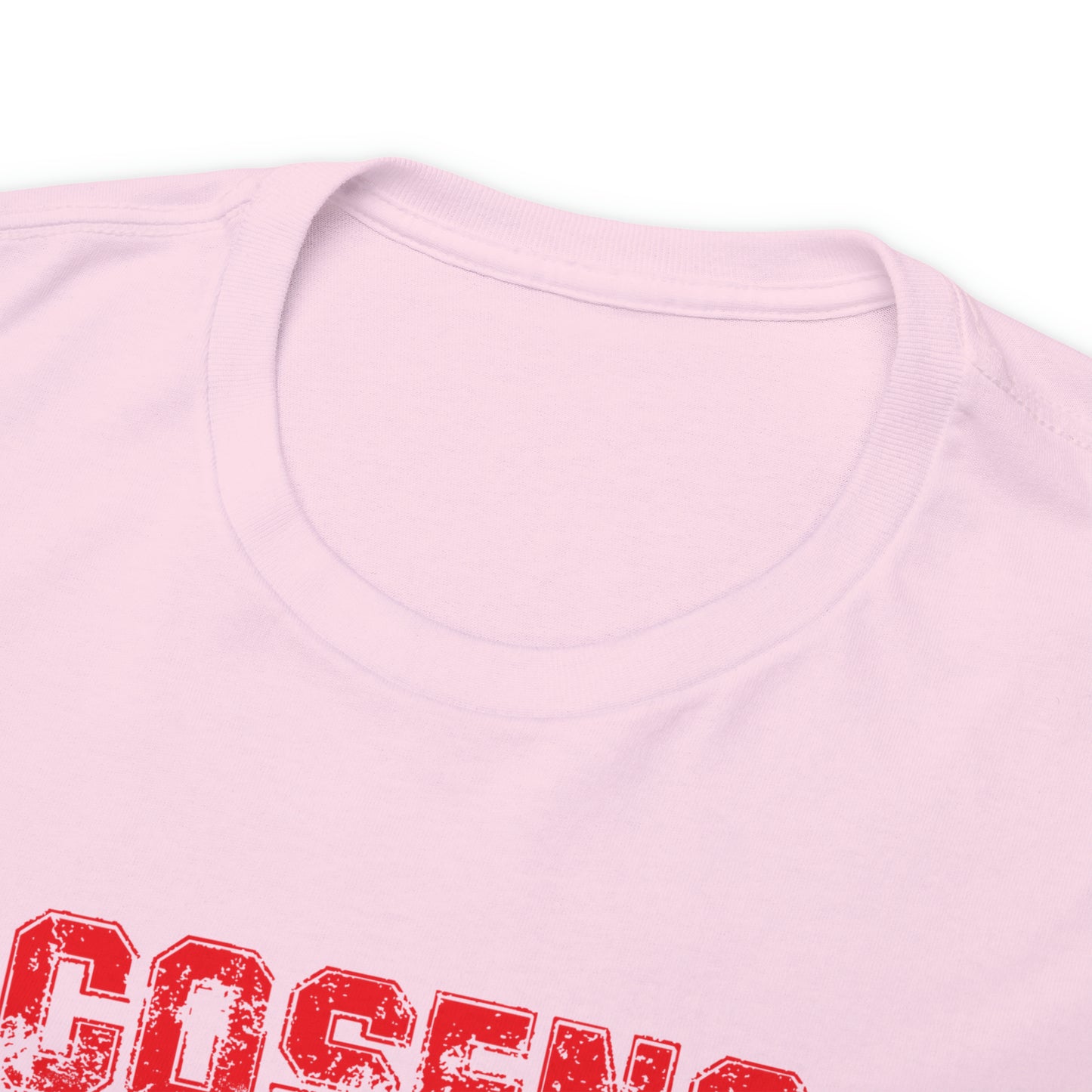 Legends Adult Cosens Martial Arts Unisex Heavy Cotton Tee