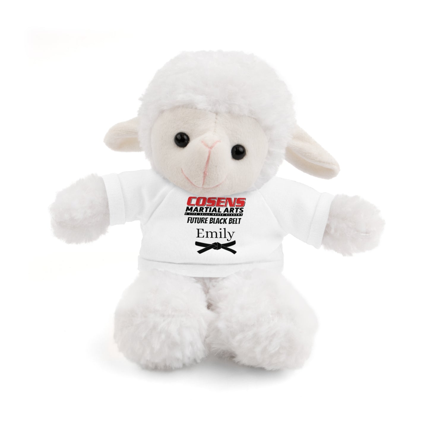 Personalized Cuddle Buddy for Your Little Martial Artist!