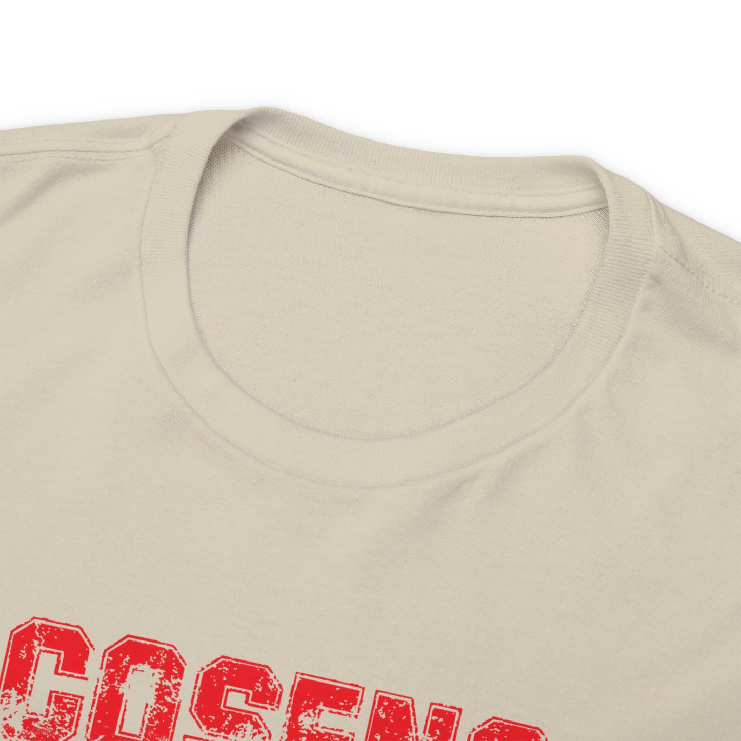 Legends Adult Cosens Martial Arts Unisex Heavy Cotton Tee